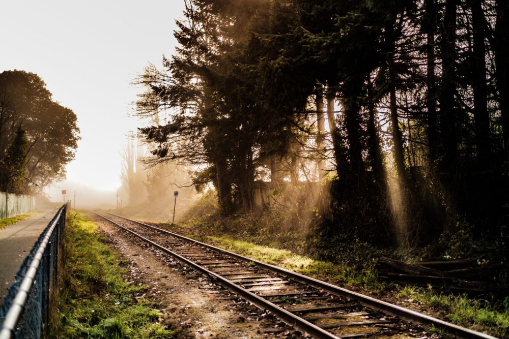 Laying Down The Tracks