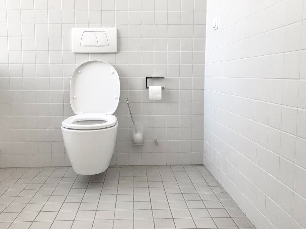 世界最古の水洗トイレから最新の水洗トイレ事情