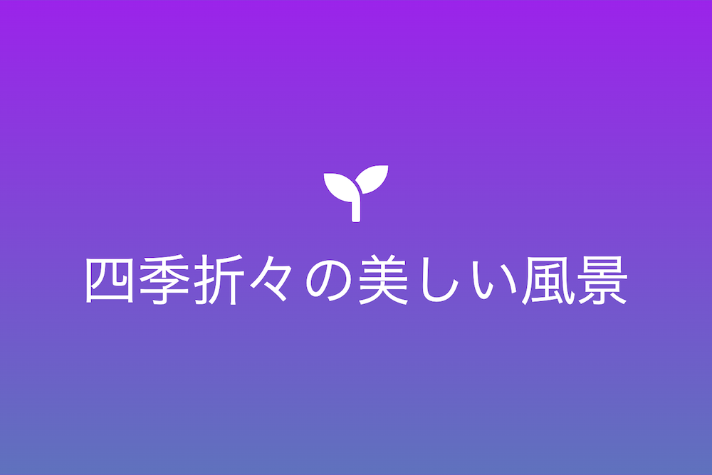 雪月風花の眼差し: 世界中の四季折々の風景探訪