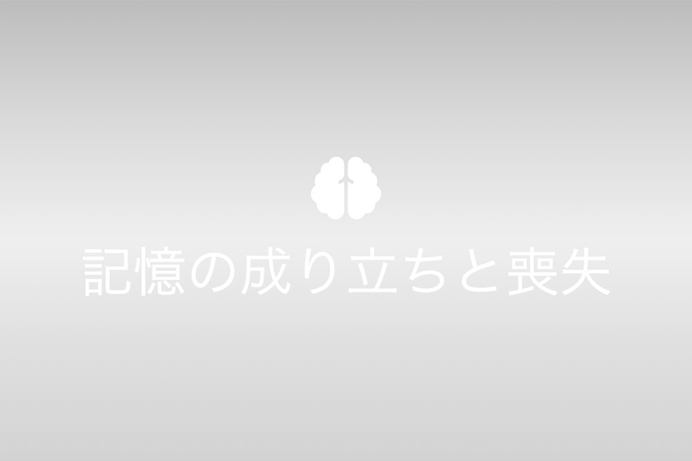 前後不覚の世界:記憶の成り立ちと喪失の不思議