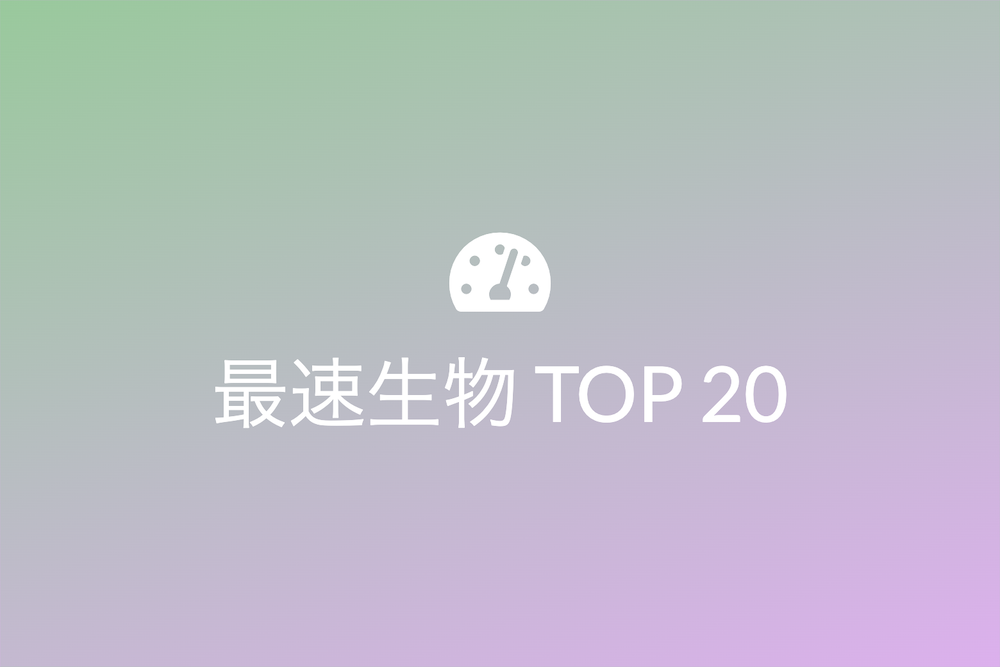 人間サイズで測る自然界のスプリンター TOP 20